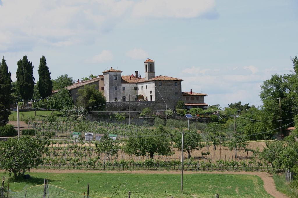Agriturismo Podere La Fornace 卡维日里亚 外观 照片