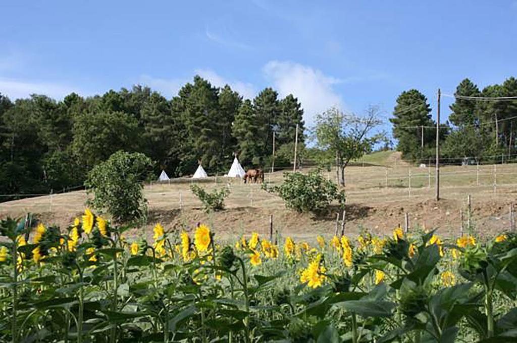 Agriturismo Podere La Fornace 卡维日里亚 外观 照片